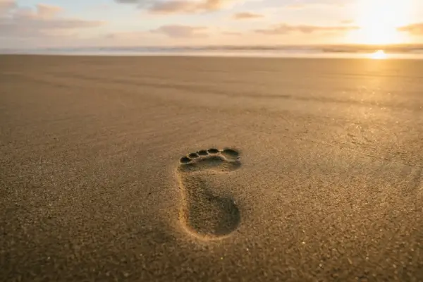 Кайдзен — перший крок на шляху змін. Словник Solo-Dō.